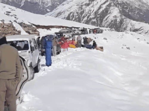 रोहतांग में पर्यटक बर्फबारी का खूब आनंद ले रहे हैं। हर रोज यहां 500 टूरिस्ट आ रहे हैं।