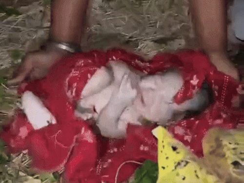 नवजात को झाड़ियों में फेंकने वाली मां को बताया मनोरोगी:  बचाने वाली महिला बोली- पति-पत्नी पर कार्रवाई हो; पुलिस सीनियर्स से पूछ करेगी कार्रवाई – Amritsar News