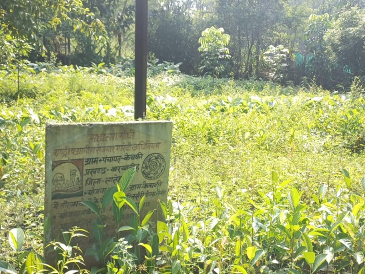 नीलम बताती हैं कि मुझे देखकर कई किसानों ने यह काम किया।