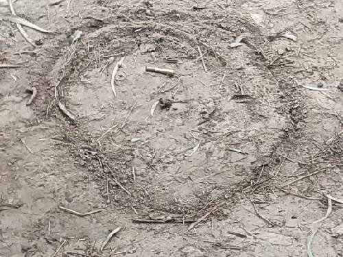 शुरुआती जांच में युवक के सीने में गोली लगी है। शव के पास तीन खोखे भी मिले हैं।