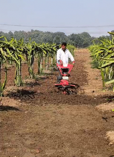 मॉर्डन खेती से कमा रहे लाखों रुपए।