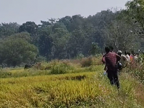 छत्तीसगडमध्ये विहिरीत पडलेल्या 4 हत्तींना वाचवण्यात यश: 8 तासांपासून अडकले होते, जेसीबीच्या साहाय्याने खोदून वाचवले वन विभागाच्या पथकाने विहिरीत पडलेल्या चारही हत्तींना सुरक्षितपणे वाचवले आहे.