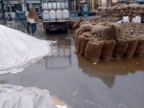 पूरे फतेहाबाद जिले में दोपहर के बाद बारिश हुई। इससे अनाज मंडी में रखा धान भी गीला हो गया।