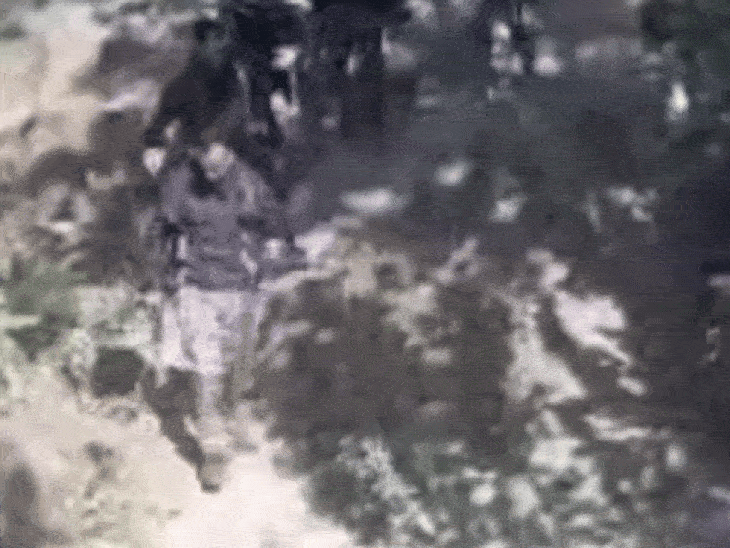 जंगल में सर्चिंग करती पुलिस। - Dainik Bhaskar