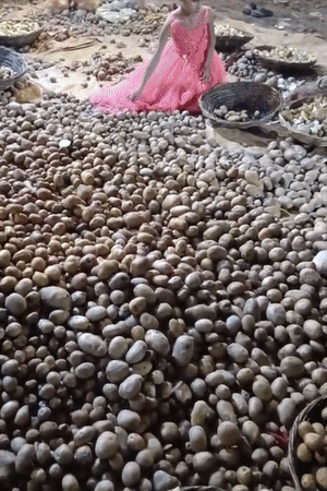 पूरी रात लंगर बनाने का किया जाएगा काम।