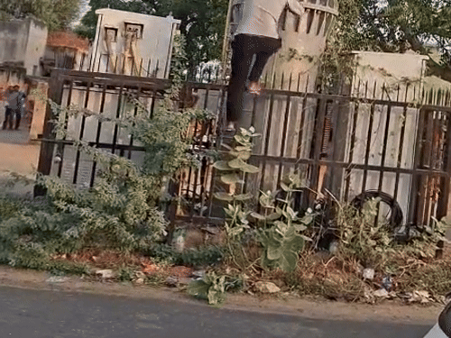 एक घंटे की मशक्कत के बाद बचाई जान, प्रेमिका से विवाद के बाद उठाया कदम,