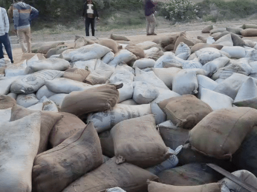 ट्रेलर में भरा मक्का मौके पर ही फैल गया।