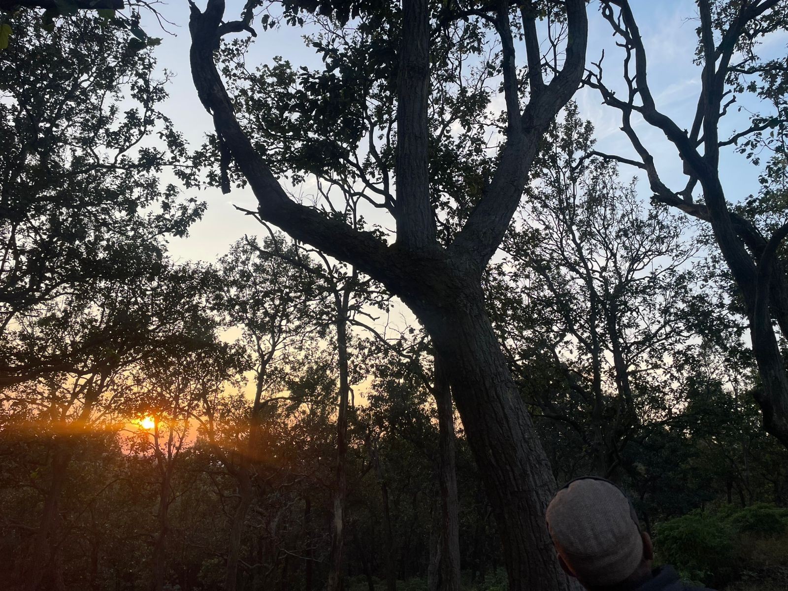 जन आंदोलन