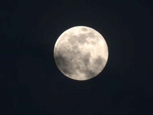 गोवा के आसमान में सामान्य दिनों से बड़े आकार का चांद नजर आया।