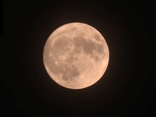 पश्चिम बंगाल के कोलकाता में लाल रंग के चंद्रमा दिखाई दिया।