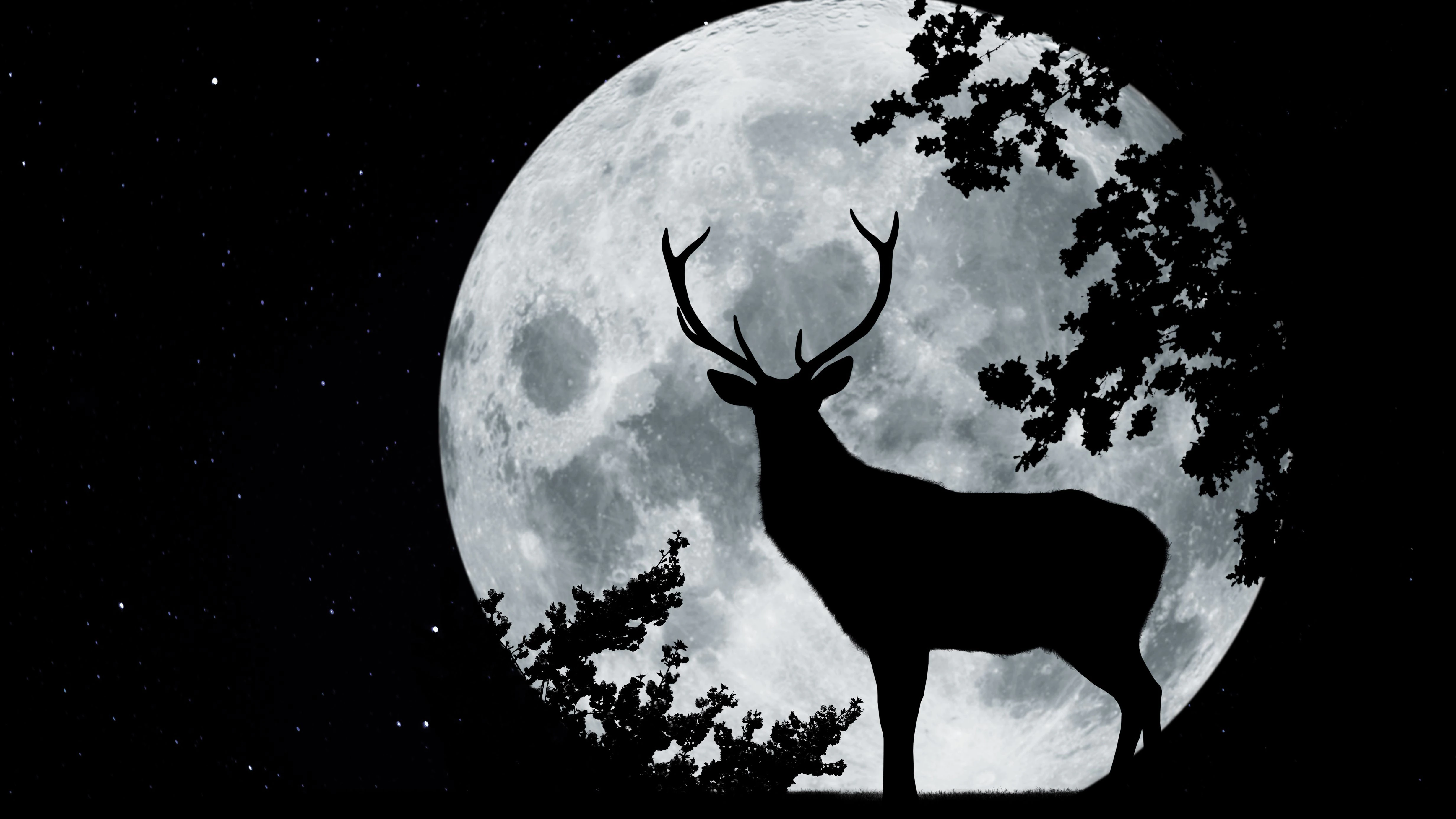 जुलाई में दिखने वाले सुपरमून को बक (हिरण) मून भी कहते हैं।