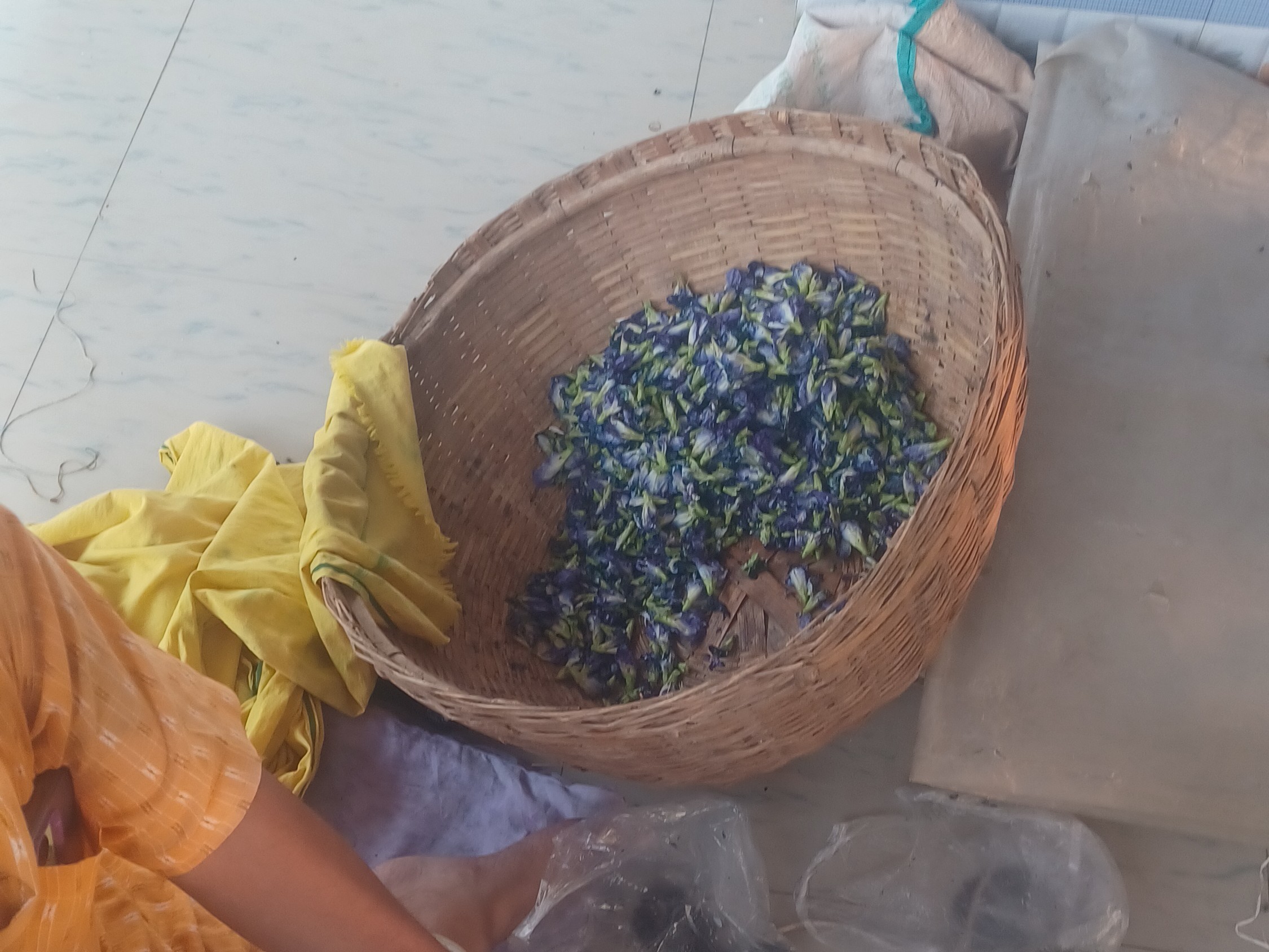 यही दवा पिलाई जाती है।