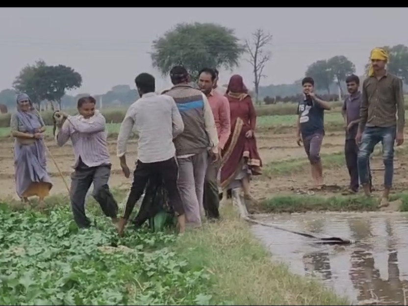 Fierce fight between two parties over land dispute, VIDEO