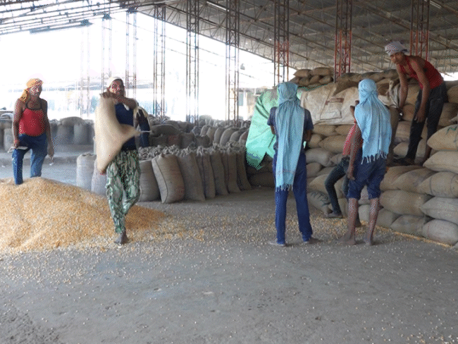 जांच टीम ने खाद्य आपूर्ति निगम से 7 साल का रिकॉर्ड मांगा है। मगर अभी 3 साल का दिया है।