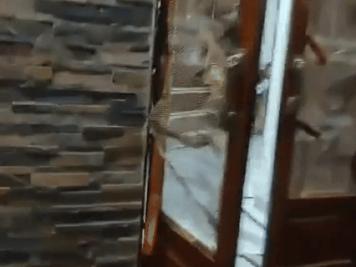 युवकों ने पड़ाव चौक में इसी घर में घुसने की नीयत से दरवाजे को तोड़ डाला।