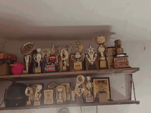 क्रांति गौड़ के नाम पर कई राष्ट्रीय और अंतरराष्ट्रीय अवार्ड हैं।