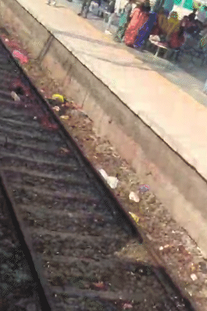 हादसे के बाद शवों के चीथड़े उड़ गए। ट्रैक पर 50 मीटर तक लाशों के टुकड़े बिखरे नजर आए।