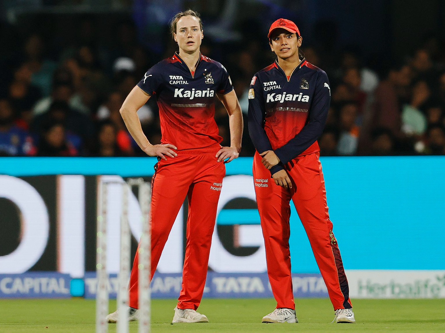 RCB ने कप्तान स्मृति मंधाना के साथ दिग्गज एलिस पेरी को भी रिटेन किया। - Dainik Bhaskar