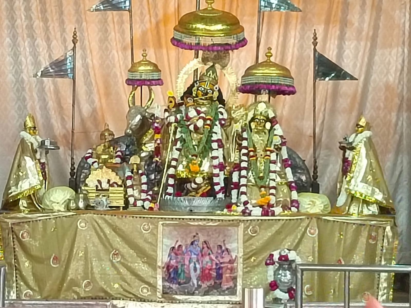 ठाकुर श्रीजी का सुनहरे पार्चे की लप्पा जामा पोशाक धारण कराया गया है।