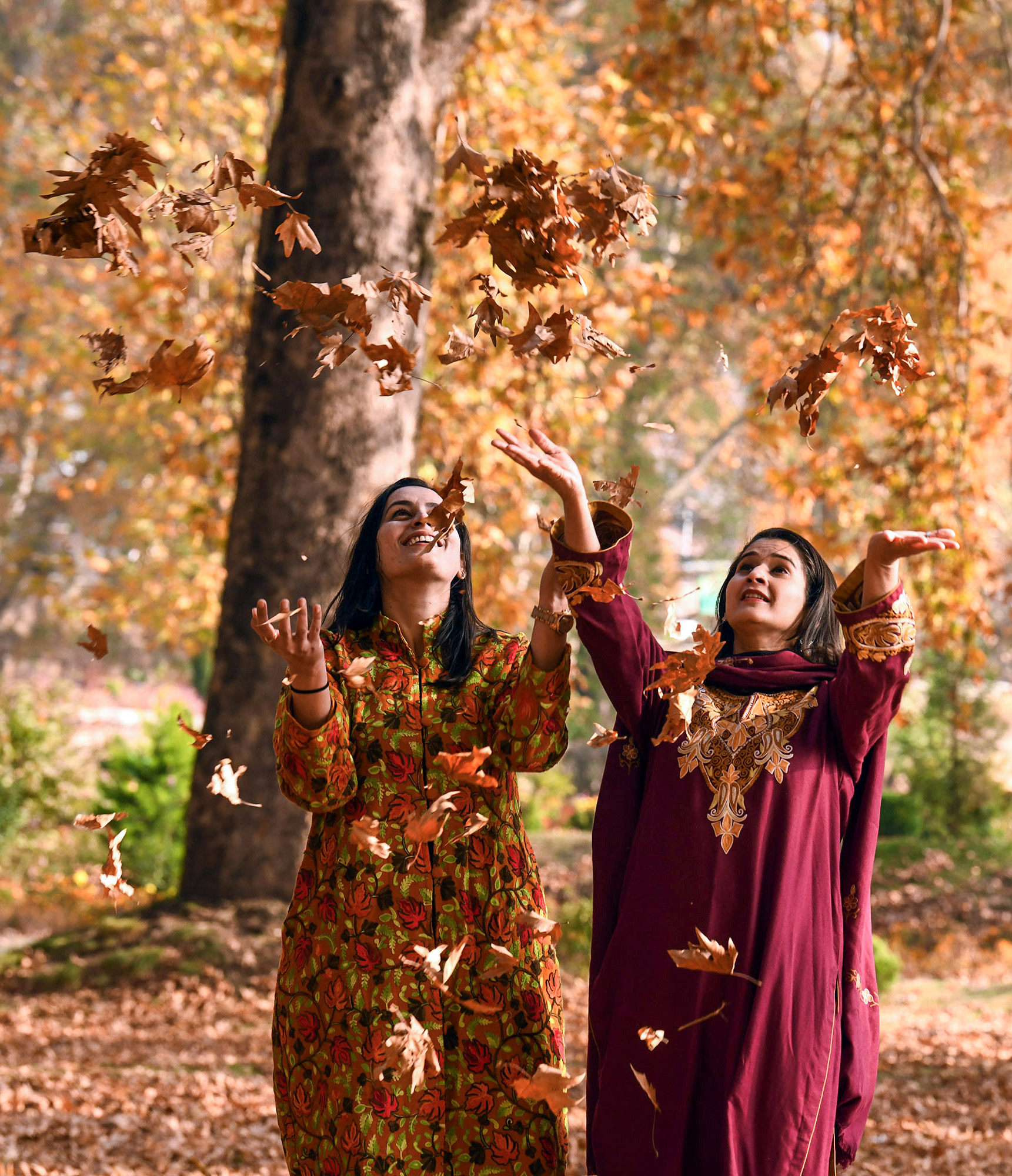 श्रीनगर के निशात बाग में गुरुवार को महिलाओं ने चिनार के सूखे पत्तों के साथ फोटो खिंचवाई।