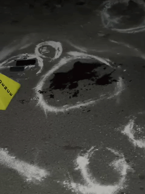 पुलिस ने मौके से लूटी गई चेन, मोबाइल, नकद रुपए, एक तमंचा, जिंदा कारतूस और खोखा कारतूस बरामद किए हैं।