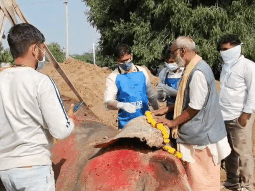 सेवक और परिवार ने भावुक होकर हथिनी के आखिरी दर्शन किए।