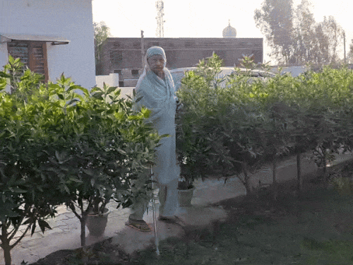 अंबाला वोटर लिस्ट में 223 वोटरों की एक फोटो:  महिला बोली- वोटिंग के दिन लोग मजाक उड़ाते हैं; राहुल गांधी ने सच दिखाया – Ambala News