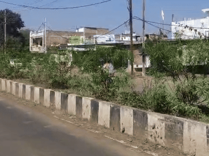 गुरुवार की रात राजगढ़ का तापमान 9 डिग्री पर आ गया था। शुक्रवार को पूरे दिन धूप खिली रही।