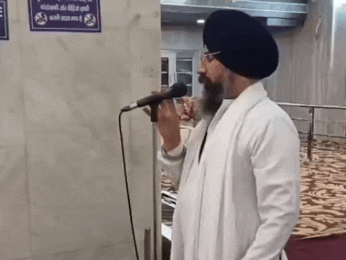 अंबाला में फिर दिखा तेंदुआ:  पंजोखरा साहिब क्षेत्र में फैली दहशत; वन विभाग की टीम मौके पर, कराया जा रहा अनाउंसमेंट – Ambala News