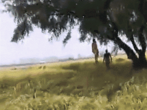 पेड़ पर फंदे से लटका कैलाश मीणा और चक्काजाम करते आक्रोशित ग्रामीण और परिजन।