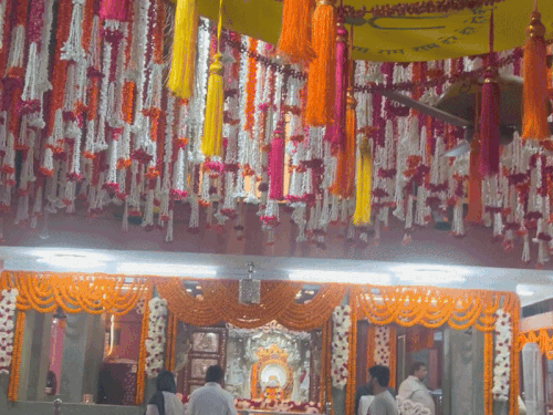 श्री दंडीस्वामी महाराज जी की मूर्ति
