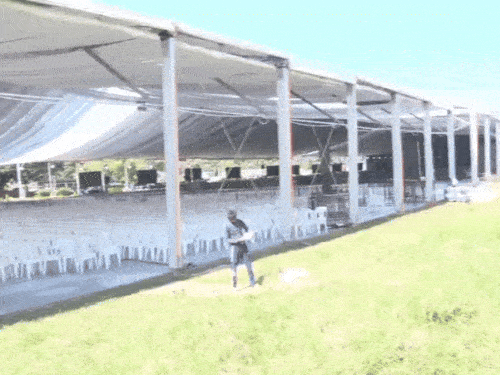 मुख्य कार्यक्रम के लिए तैयार किया गया पंडाल।