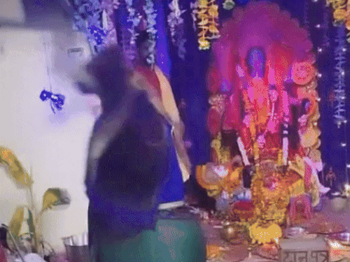 मंदिर के अंदर काली माता की मूर्ति के आगे ठुमके लगाती महिला।