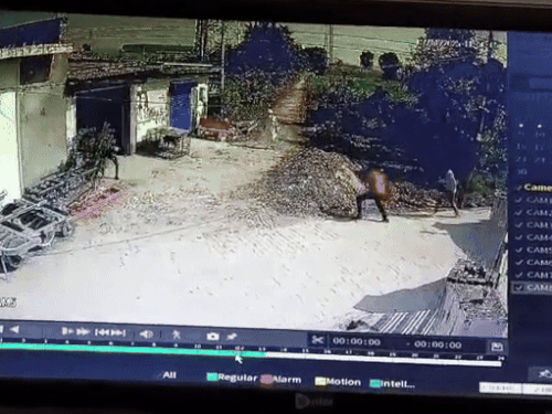 कुरुक्षेत्र में बुजुर्ग पर गंडासी से जानलेवा हमला, VIDEO:  पुराना जमीनी विवाद, बचाव में आए बेटे पर बरसाए ईंट-पत्थर – Kurukshetra News