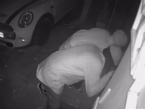 घर के अंदर घुसकर ताला तोड़ने की कोशिश करते दिखे।