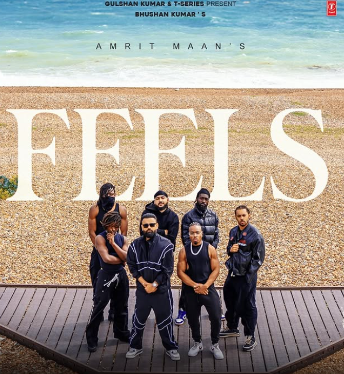 गाना फील्स टी-सीरीज के यूट्यूब चैनल पर रिलीज हुआ है।