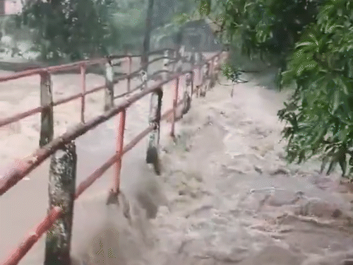 फिलीपींस में रविवार को 'फंग-वोंग' सुपर टाइफून ने तबाही मचाई।