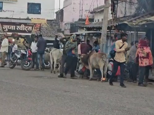 पेंड्रा इलाके के गांवों और कस्बों में लोग ठंड से बचने के लिए अलाव का सहारा ले रहे हैं।