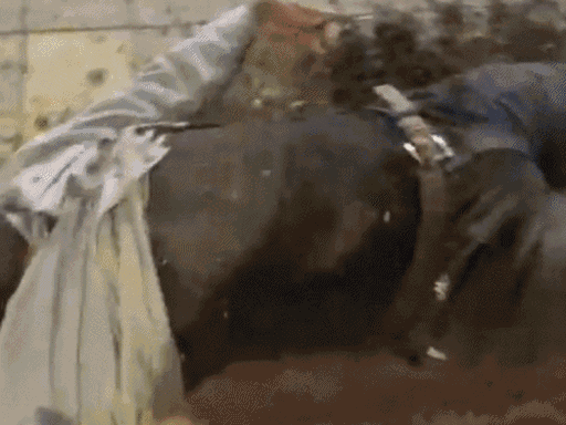 बाइक सवार दूर जाकर फिकाए, जिसमें दो की मौके पर मौत हो गई।