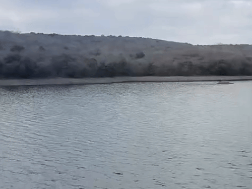 चित्तौड़गढ़ में अब मौसम सुहावना रहने लगा है।