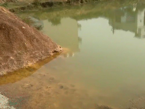 हीरापुर क्षेत्र में स्थित इसी पानी भरे गड्ढे में डूबने से दोनों बच्चों की जान गई।