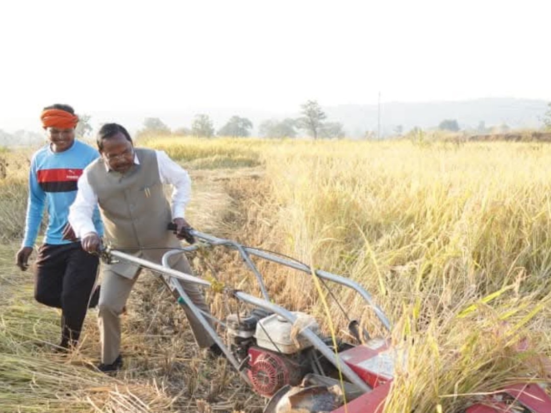 कृषि मंत्री रामविचार नेताम ने काटी धान की फसल:  पत्नी के साथ अपने खेत में किसानों से की मुलाकात – Balrampur (Ramanujganj) News