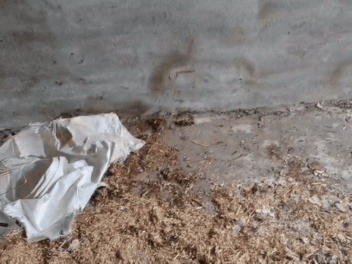 फतेहपुर तगा गांव का वह कमरा, जहां से टीमों को विस्फोटक बरामद हुआ। इस कमरे में एक गैस सिलेंडर भी रखा हुआ था।