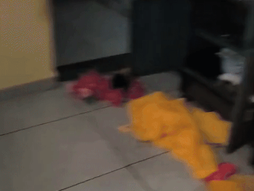 पंचकूला में मकान से कैश-जेवर चोरी, छत से घुसे चोर:  शादी में बाहर गया था परिवार, जाते समय अंदर से कुंडी लगा गए – Panchkula News