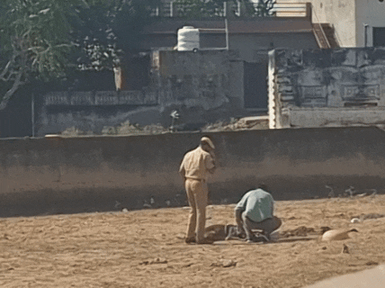 सूचना के बाद सुबह सदर थानाधिकारी इंद्रराज मरोड़िया सहित पुलिस थाने की टीम और डॉग स्क्वायड टीम मौके पर पहुंची।