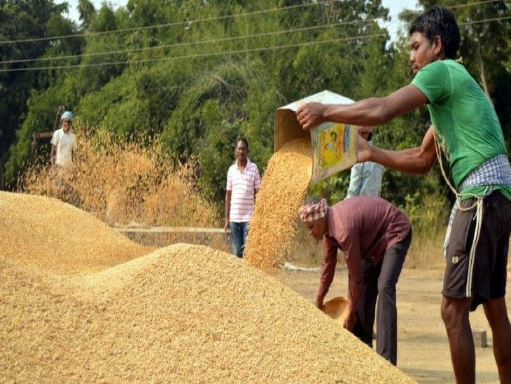 Farmers will get tokens to sell paddy from today.