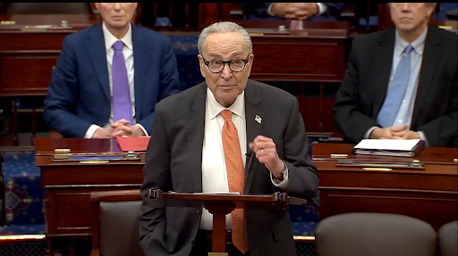 सीनेट माइनॉरिटी लीडर चक शूमर 7 नवंबर को बिल के खिलाफबोलते हुए।