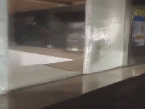 ये तस्वीर मेट्रो स्टेशन के अंदर की है। यहां पर ब्लास्ट के कारण स्टेशन के अंदर काफी नुकसान हुआ है।