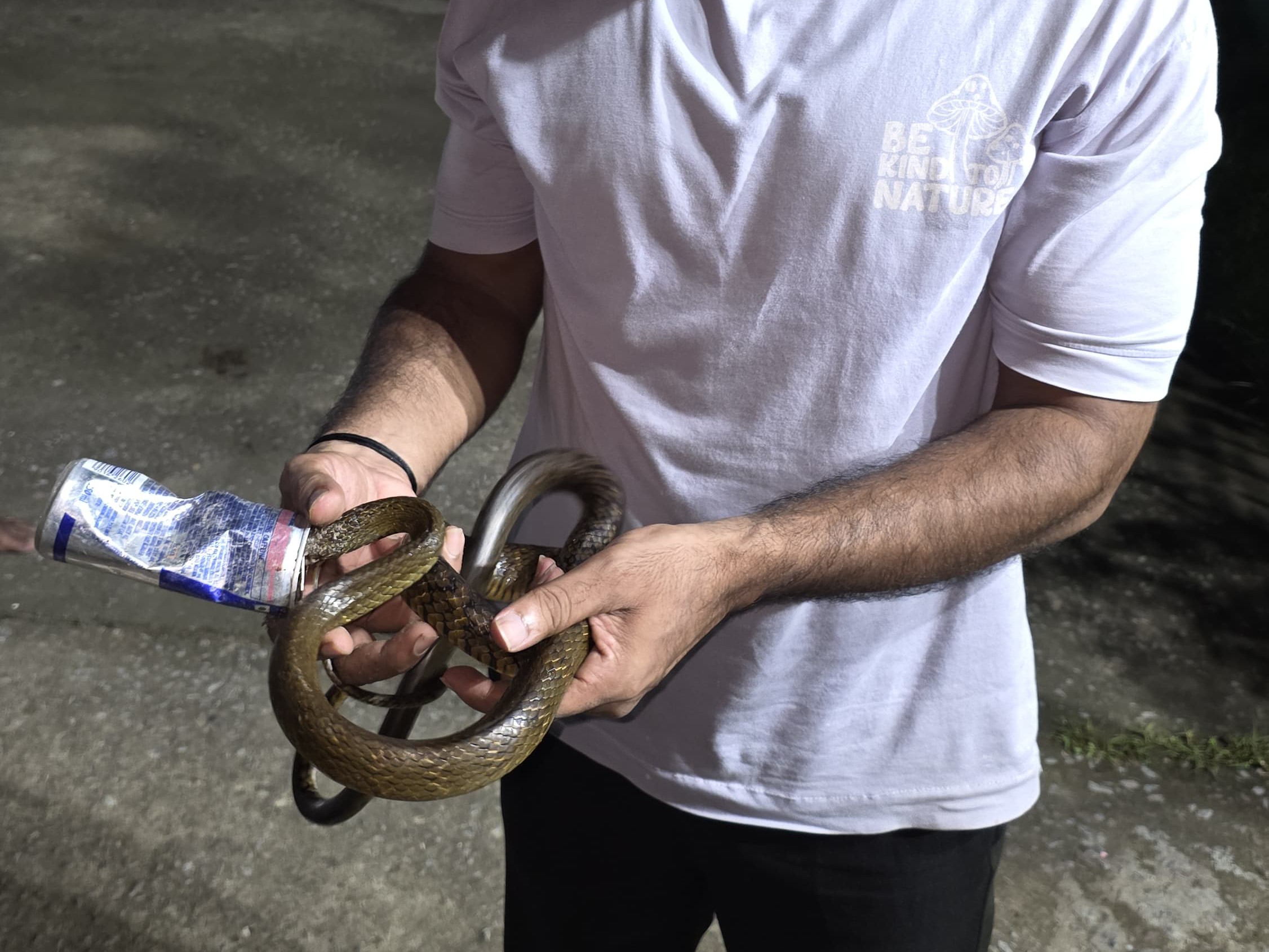 कुछ इस तरह से फंसा था सांप