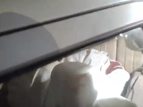 पुलिस ने बुधवार रात हरियाणा के खंदावली गांव से एक शख्स को हिरासत में लिया। यहीं से इकोस्पोर्ट्स कार बरामद हुई है।